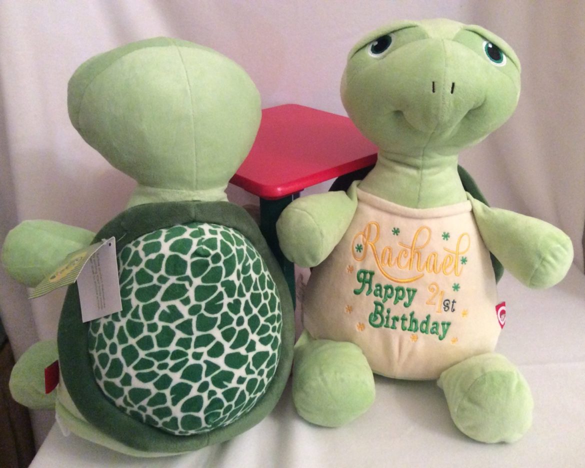 birthday-turtle.jpg